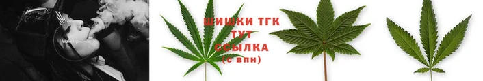 тгк Аркадак